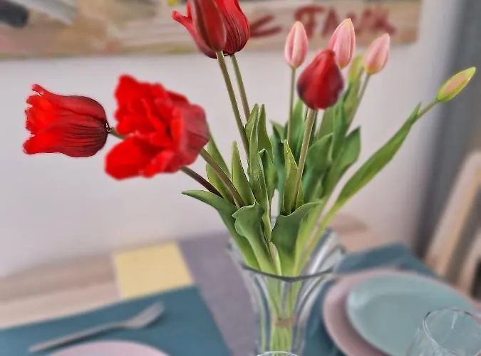 Drazica * Опатия